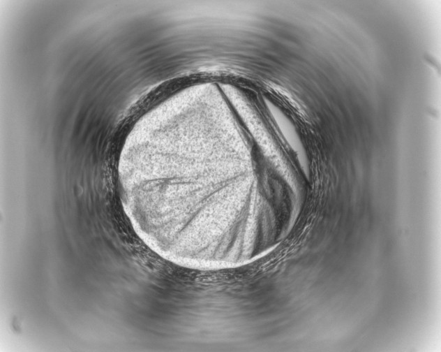 X0000093430776200711021033