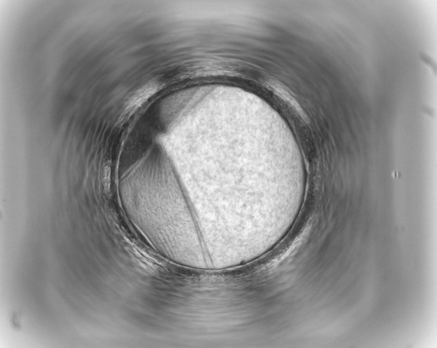 X0000093430777200711021033