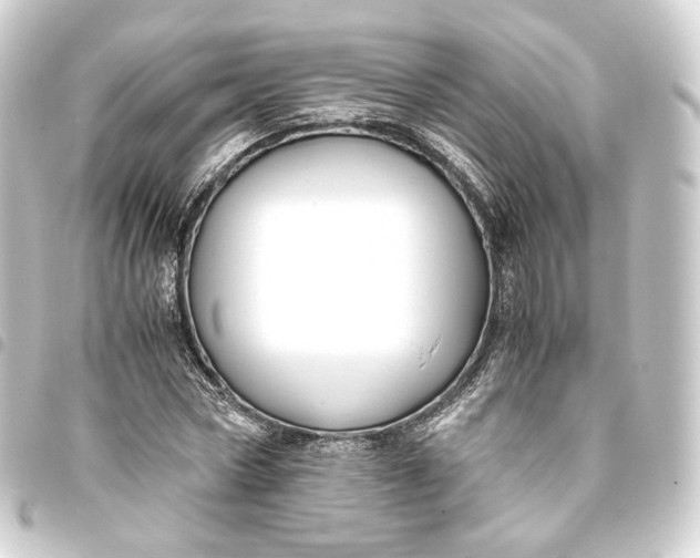 X0000093430778200711021033