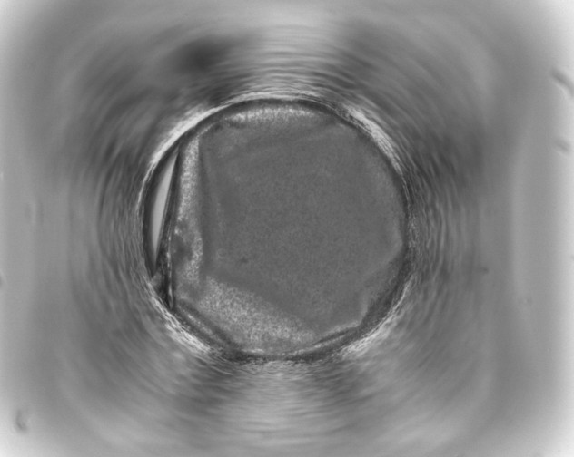 X0000093430779200711021033