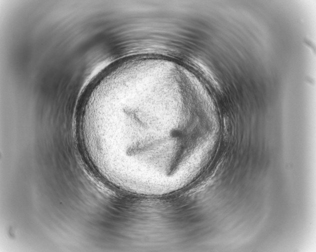 X0000093430780200711021033