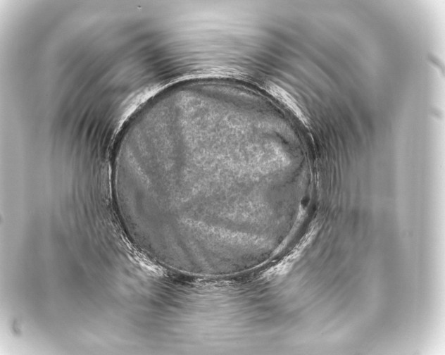 X0000093430781200711021033