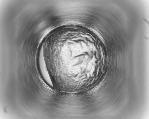 X0000093430783200711021033