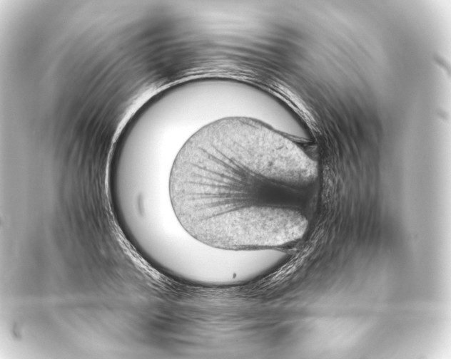 X0000093430788200711021033