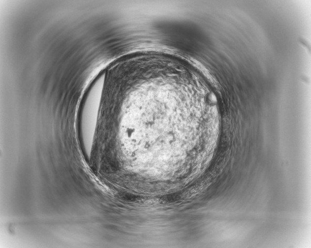 X0000093430791200711021033