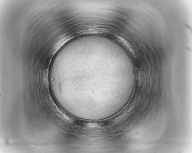 X0000093430794200711021033