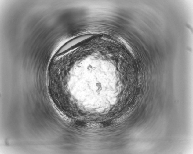 X0000093430795200711021033