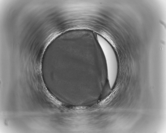 X0000093430797200711021033