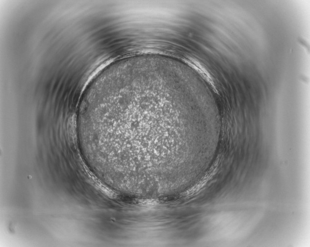 X0000093430798200711021033