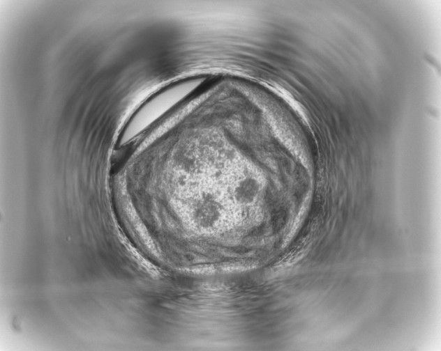 X0000093430799200711021033