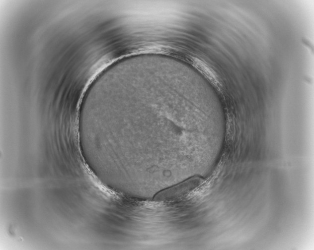 X0000093430800200711021033