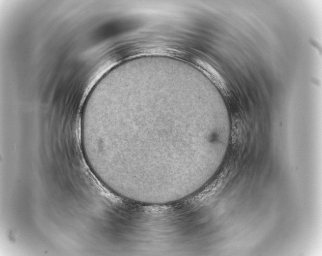 X0000093430804200711021033