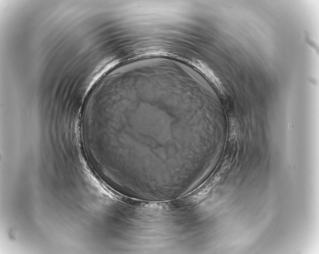 X0000093430806200711021033