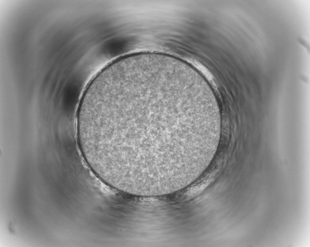 X0000093430807200711021033