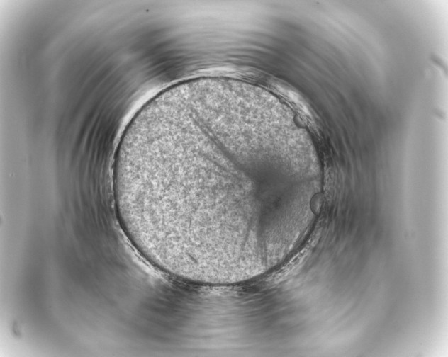 X0000093430808200711021033