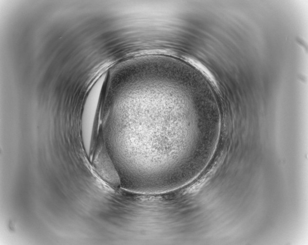 X0000093430809200711021033