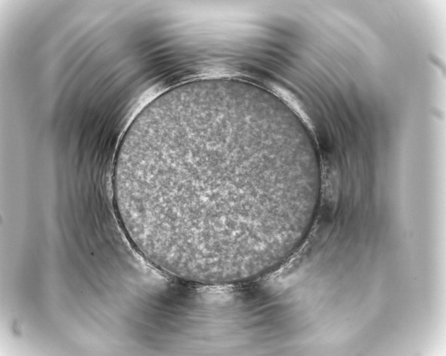 X0000093430810200711021033