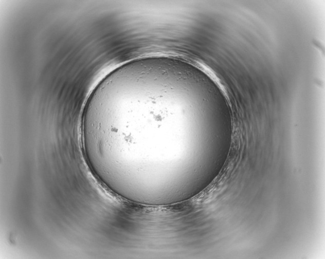 X0000093430811200711021033