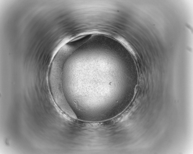 X0000093430813200711021033