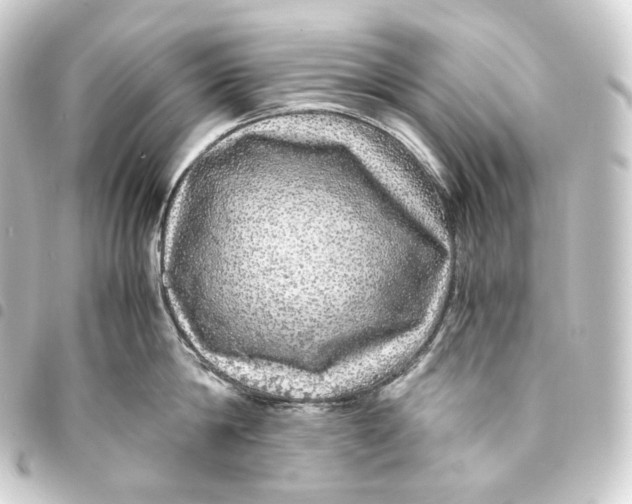 X0000093430814200711021033