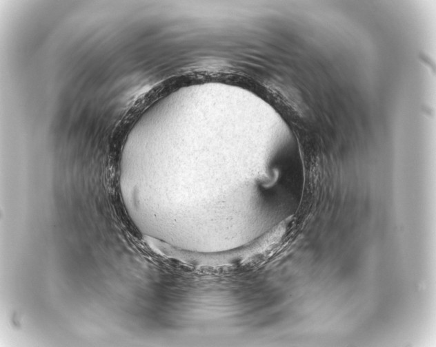 X0000093430822200711021032