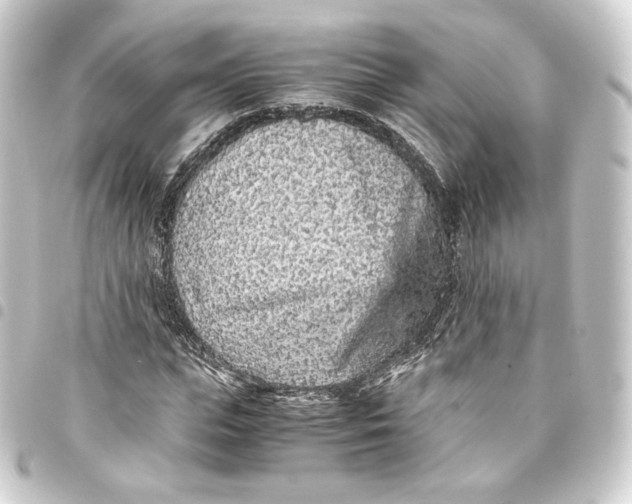 X0000093430823200711021032