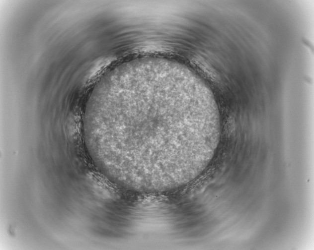 X0000093430824200711021032