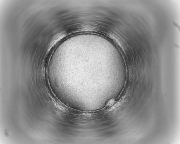 X0000093430827200711021032