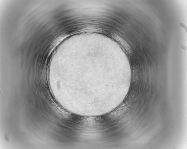 X0000093430828200711021032