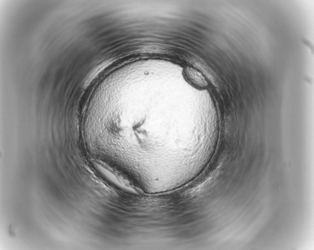 X0000093430829200711021033