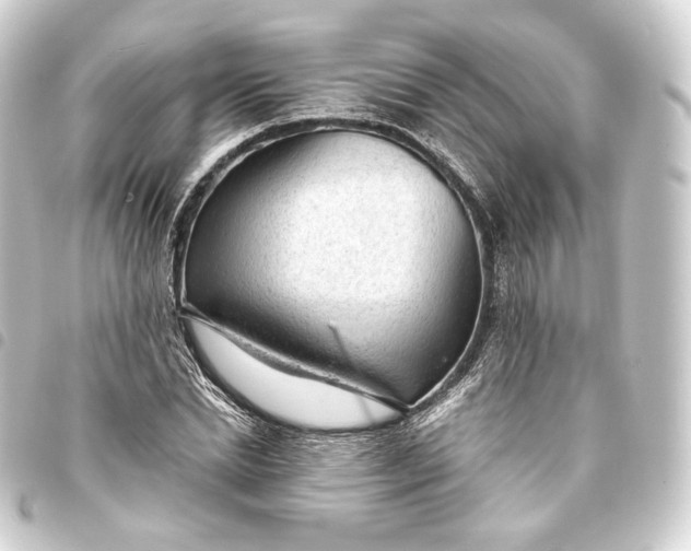 X0000093430830200711021033