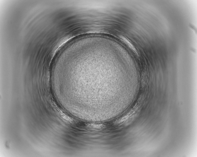 X0000093430831200711021033