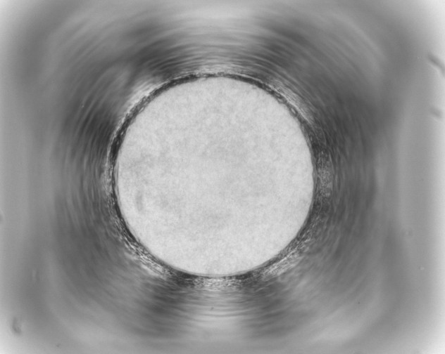 X0000093430832200711021033