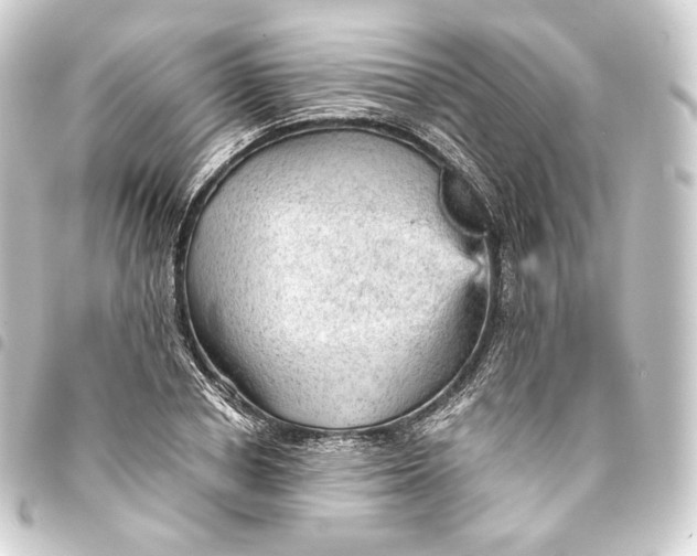 X0000093430834200711021033