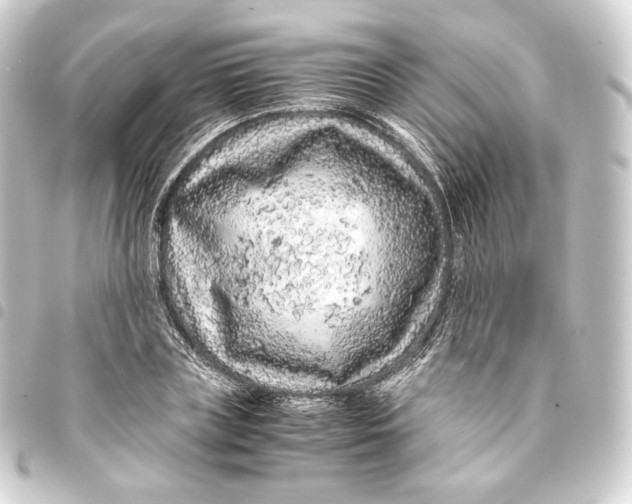 X0000093430835200711021033