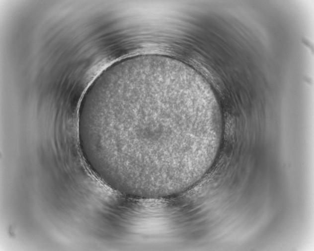 X0000093430836200711021033