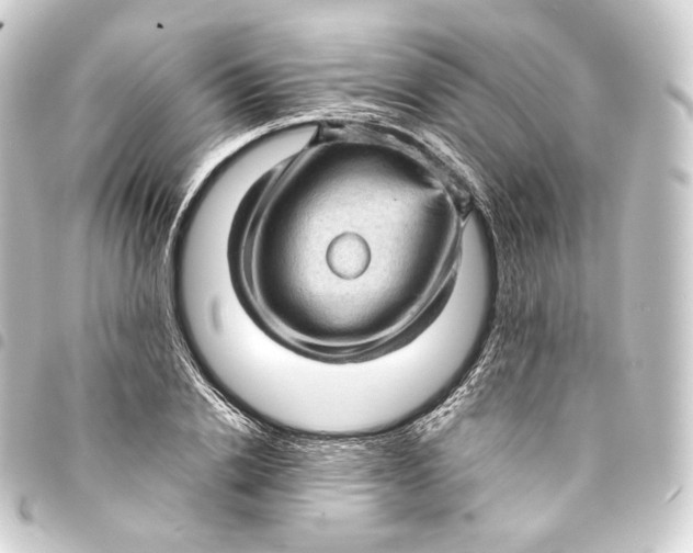 X0000093430838200711021033