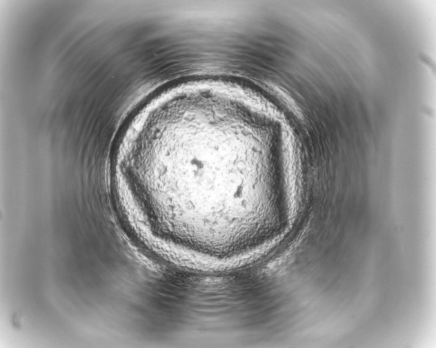 X0000093430839200711021033