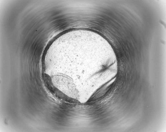 X0000093430840200711021033