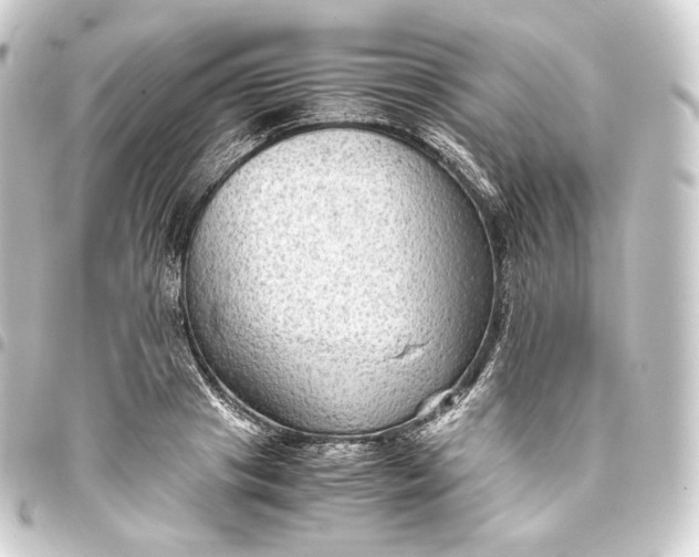 X0000093430841200711021033