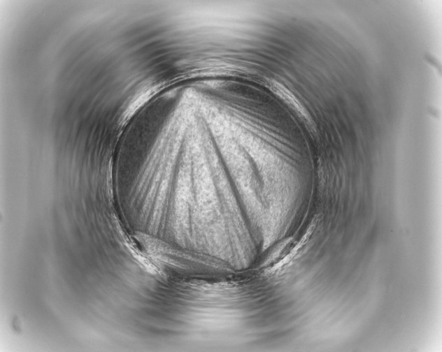 X0000093430842200711021033