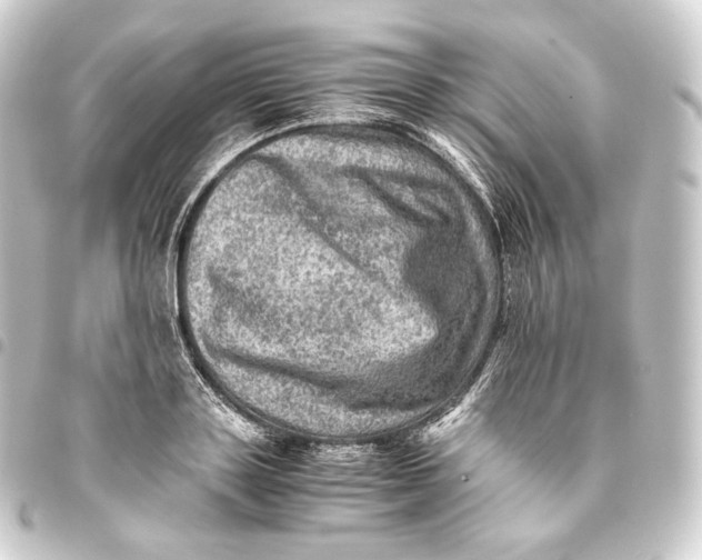 X0000093430843200711021033