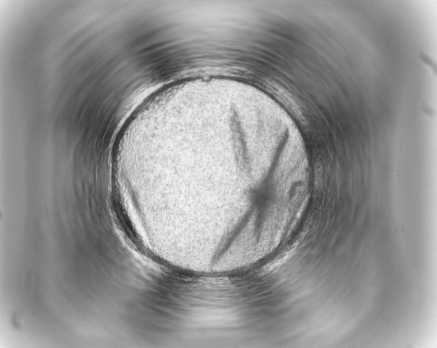 X0000093430844200711021033