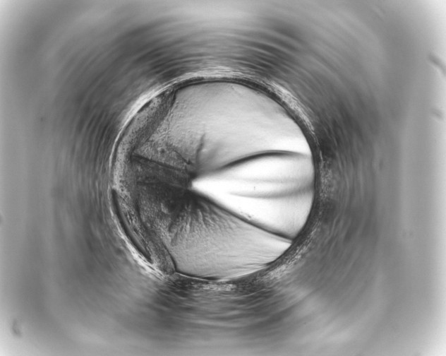 X0000093430845200711021033