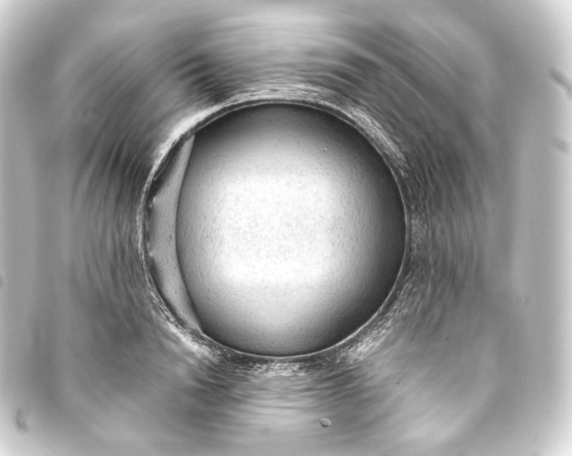 X0000093430846200711021033