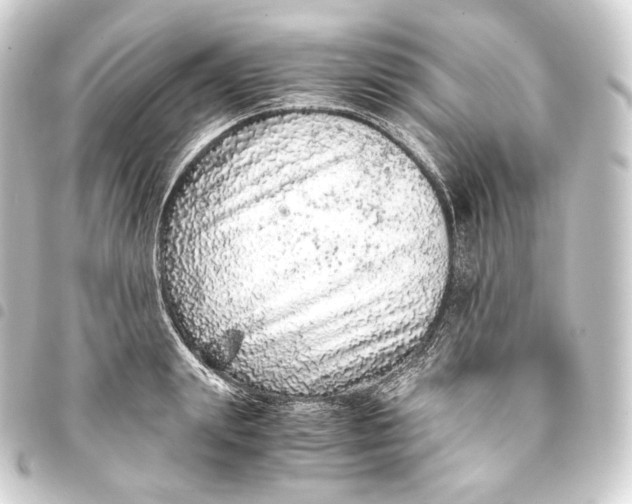 X0000093430847200711021033