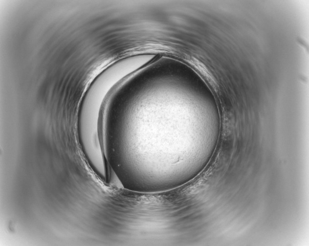 X0000093430850200711021033