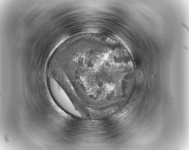 X0000093430851200711021033