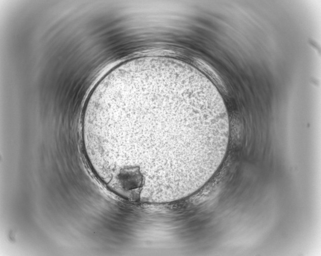 X0000093430852200711021033