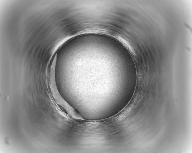 X0000093430854200711021033